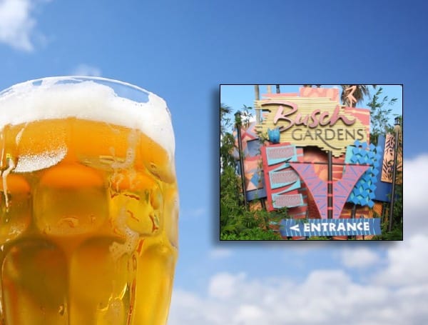 Celebrate The Bolt’s Back-To-Back Cups With Free Beer At Busch Gardens Tampa