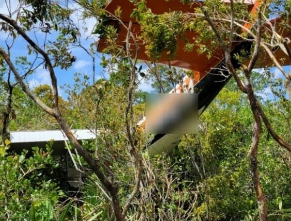 Small Plane Crash In Hernando County, Pilot And Passenger Walk Away Uninjured