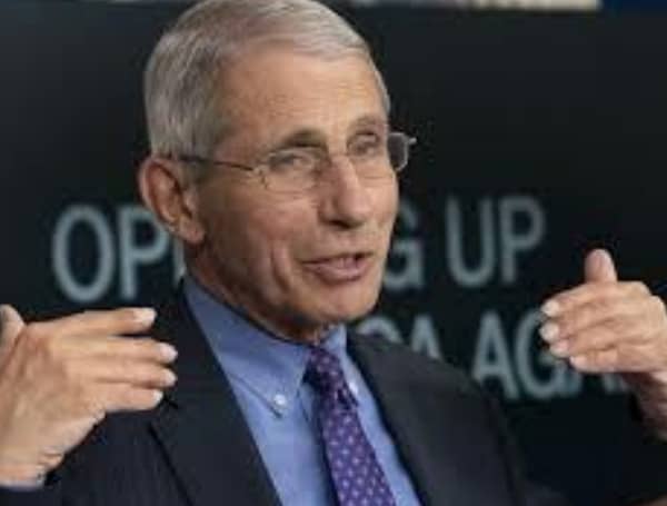 Fauci On COVID Variant: “U.S. Should Be Prepared To Do Anything” Including Lockdowns Or Mandates