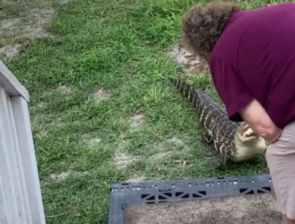 “I Got Him Good That Time” North Carolina Woman Feeds Her Little “Friend”