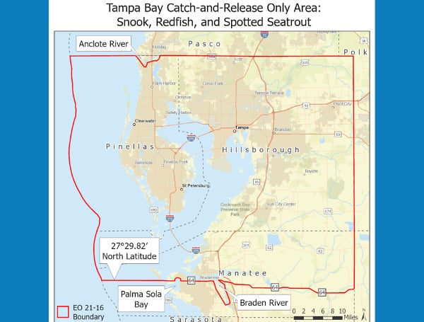 New Snook, Redfish And Spotted Seatrout Catch-And-Release Measures For Tampa Bay