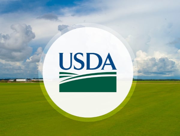 USDA Rural Development: Federal Relief Resources For Renters And Landlords