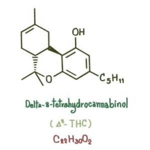 A Guide to Buying Delta 8 THC Products in Florida