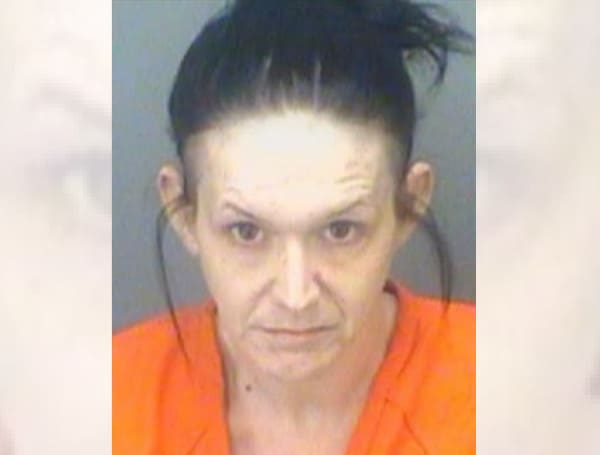 Florida Woman Arrested For Sexual Battery Of 14-Year-Old Boy While They Were High