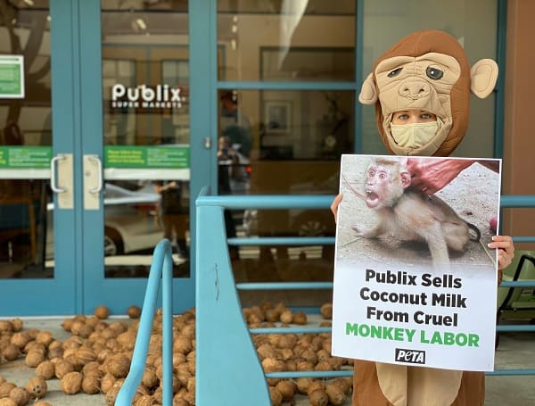 PETA To Dump Hundreds Of Coconuts At Publix CEO Todd Jones’ House Today