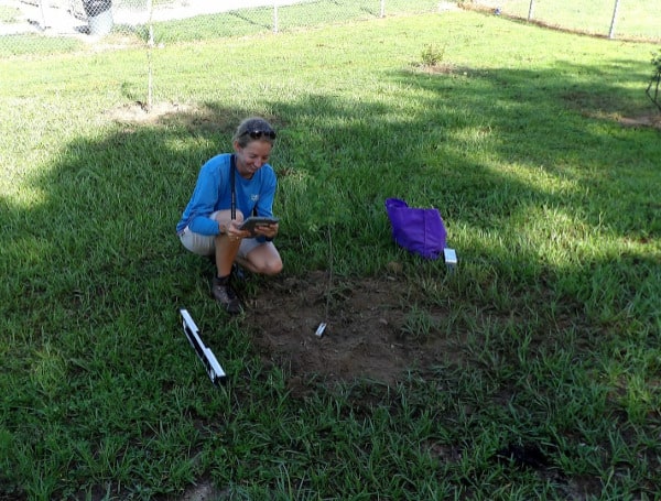 You Can Have It ‘Made In The Shade’ By Planting More Diverse Trees