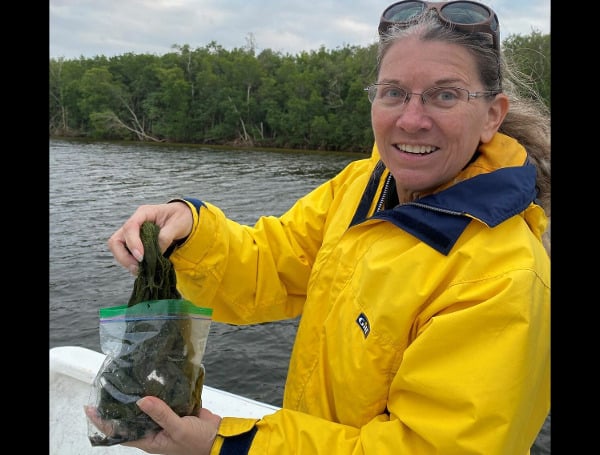 Veteran Florida Sea Grant Agent Takes New Role As Liaison At Federal Level – Expertise In Harmful Algal Blooms