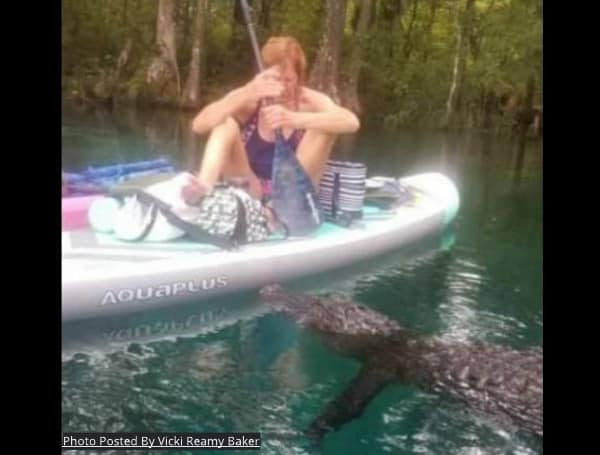 “Why Are You Messing Me” Gator Attempts To Bite Florida Paddleboarder