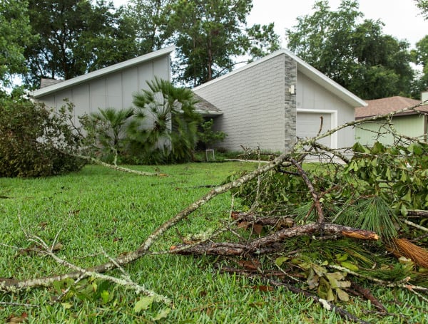 Timmmberrr! … University Of Florida Experts Try To Take Subjectivity Out Of Tree-Falling Assessments