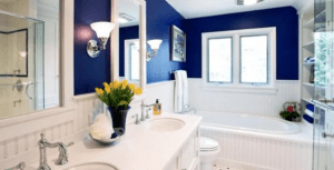 What is Bathtub Refinishing