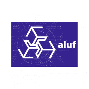 Aluf Holdings, Inc. Provides Shareholder Update and Progress of Acquisitions