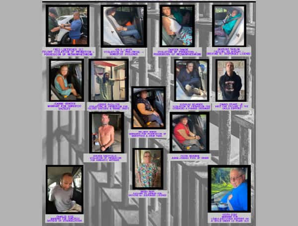 Citrus County Sheriff Wraps Up Domestic Violence Month With 14 Arrests