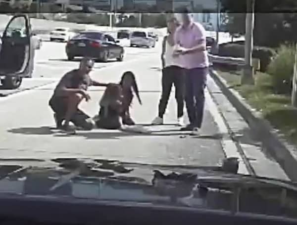 HERO: Florida Highway Patrol Trooper Saves Unconscious 1-Year-Old Girl On Highway