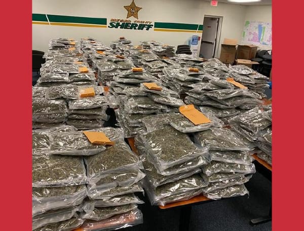 Florida Sheriff Offers ‘Staycation’ For Whoever Lost 770 Pounds Of Marijuana