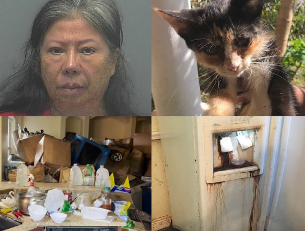 Florida Woman Arrested With A Dozen Cats And Skeletal Remains Found In Home