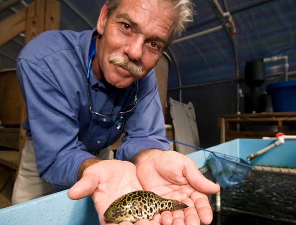 University Of Florida/IFAS Tropical Aquaculture Lab Celebrates 25 Years Helping Fish Farmers, Aquarium Enthusiasts