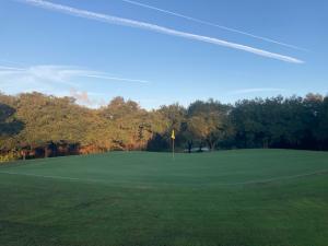 Halifax Plantation Reopening After Installation New Champion Bermuda Greens