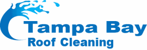 Tampa Bay Roof Cleaning Gets Recognized for Unique Soft Wash Roof Cleaning Techniques