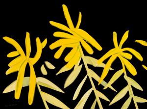 Alex Katz Goldenrod print from The Flowers Portfolio