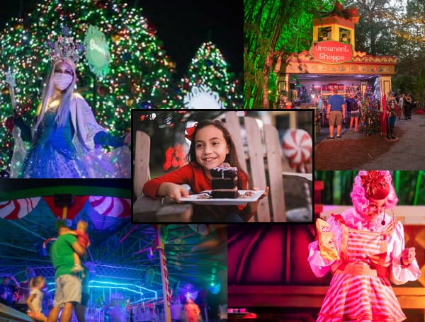 Celebrate The Magic Of The Holiday Season During Christmas In The Wild At ZooTampa