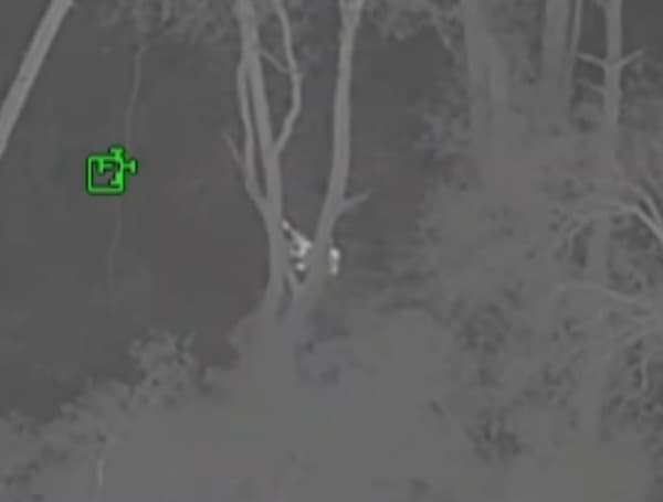 WATCH: Florida Sheriff’s Aviation Locates Missing And Injured 69-Year-Old Man