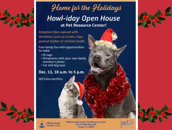 Help A Shelter Pet Find A Home For The Holidays