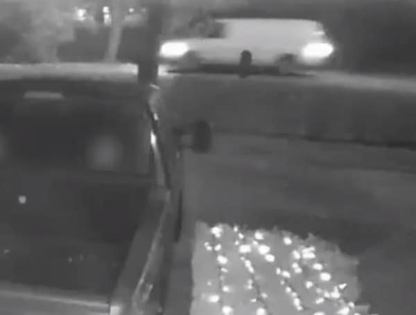 Polk County: Sheriff Releases Footage Of Van From Lakeland Deadly Hit And Run