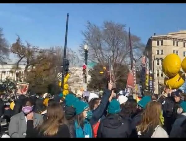 Hundreds Rally Outside Supreme Court During Abortion Case Arguments