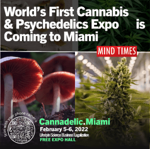 Marijuana and Mushrooms are Centerstage This Weekend in Miami