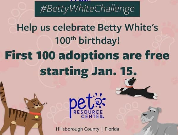 Hillsborough Pet Resource’s “Betty White Challenge” Waives Adoption Fees For 100 Dogs, Cats