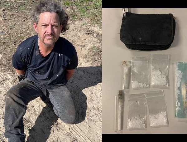 Florida Man Wanted On Grand Theft Warrant Arrested Trying To Hide Meth