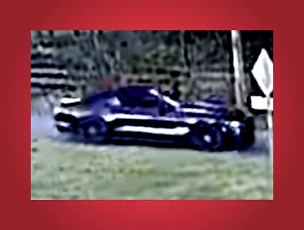 Hillsborough County Sheriff Searching For Car In Dover Fatal Hit And Run