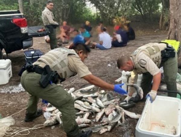 10 Georgia Men Arrested For Poaching 500lbs Of Sharks And Fish In Florida