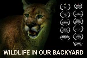 Wildlife in Our Backyard, the First Film by the Florida Wildlife Federation, Premieres on Save the Florida Panther Day