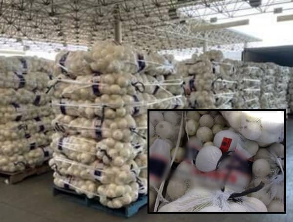 On The Border: Border Officers Seize Meth Disguised As Onions