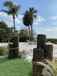 Southwest Florida Residents Are Turning Their Backyards into Beaches