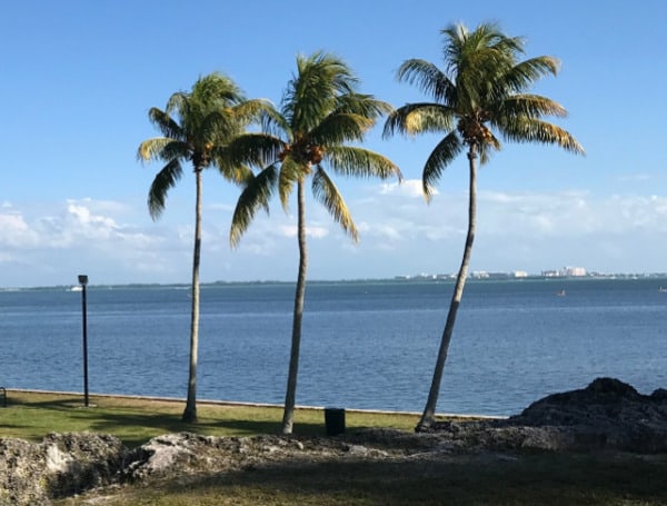 Climate-Change Activism: City Of Miami Spends $350K On New Solar Lights For Park That Closes At Dark 