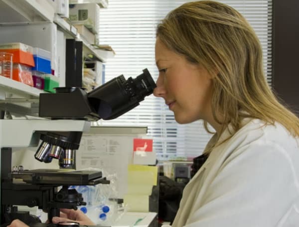 What To Study To Become A Cancer Researcher