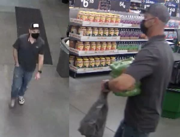 Pasco Deputies Searching For Suspect That Stole Credit Cards, Went Shopping At Walmart