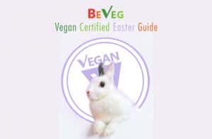 6740881 veganeaster 300x196 1