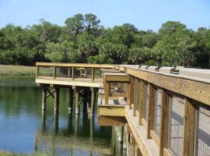 Accessible Lake Osprey Fishing Pier Opens at Oscar Scherer State Park