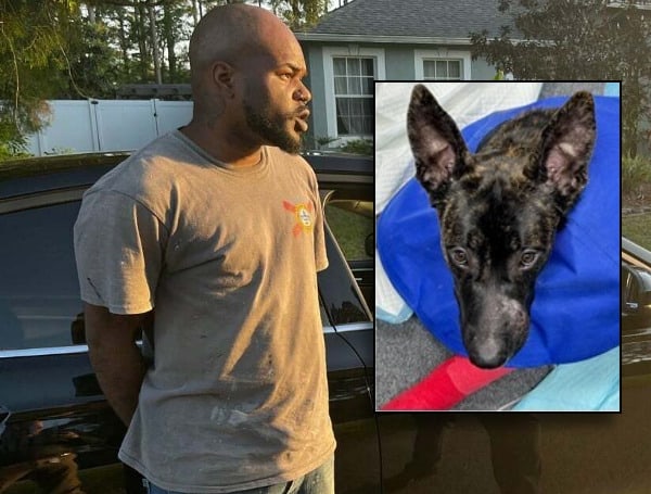 Florida Man Arrested, Shooting His Dog In The Face And Putting The Pup In Kennel Suffering