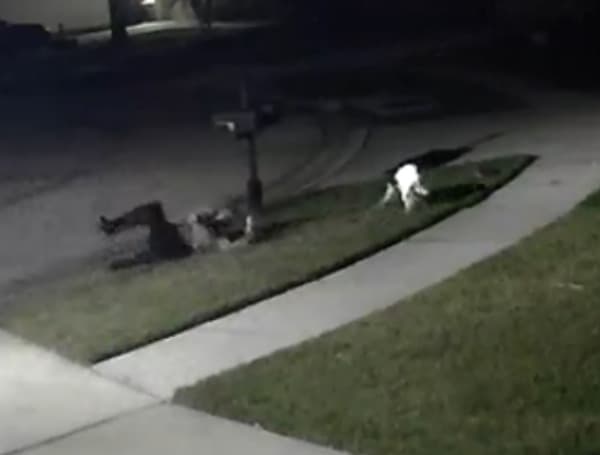 Meanwhile In Florida: Instant Karma Finds Woman After Dog Does Business