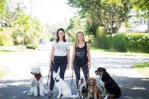 Ruff Rules Earns Rave Reviews for Helping Dog Owners in South Florida Correct Problematic Behaviors