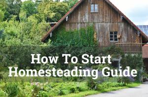 How to Start Homesteading In 2023 Free Guide Released