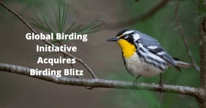 The Global Birding Initiative, an Online Birding Hub, Acquires BirdingBlitz.org