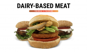 Move over plant based, cell culture and fungi: Here comes the first “Dairy-Based” alternative meats