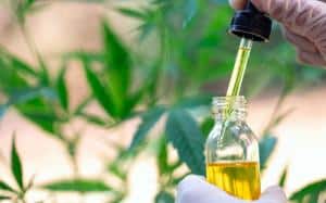 7 Potential Health Benefits of CBD