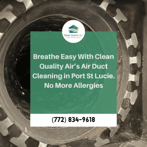 Allergies Caused by Air Duct Pollutants – Clean Quality Air