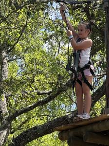 Adoption Matching Event Climbs New Heights With the Heart Gallery of Sarasota